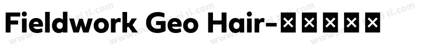 Fieldwork Geo Hair字体转换
